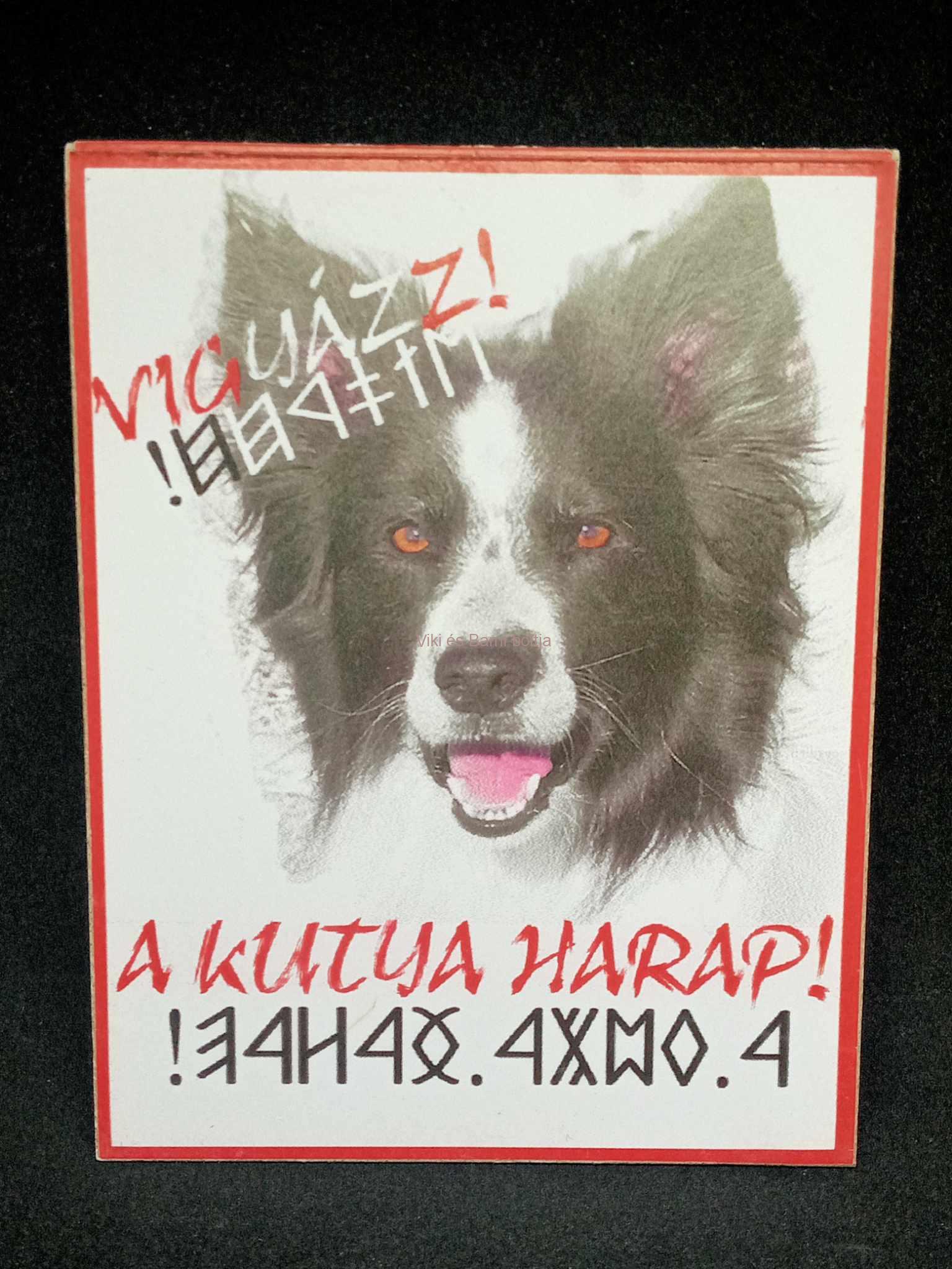 Kutyatábla