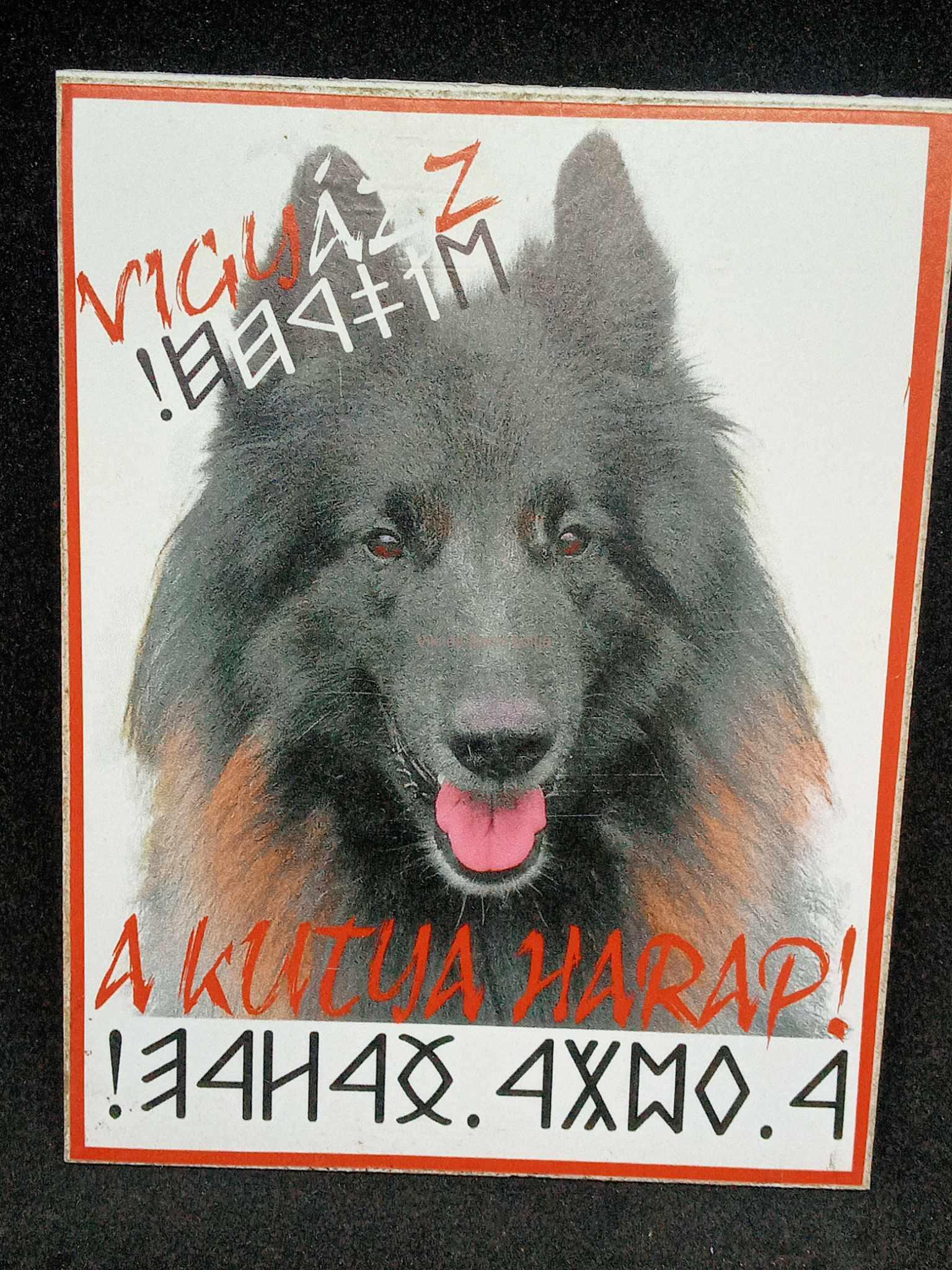 Kutyatábla