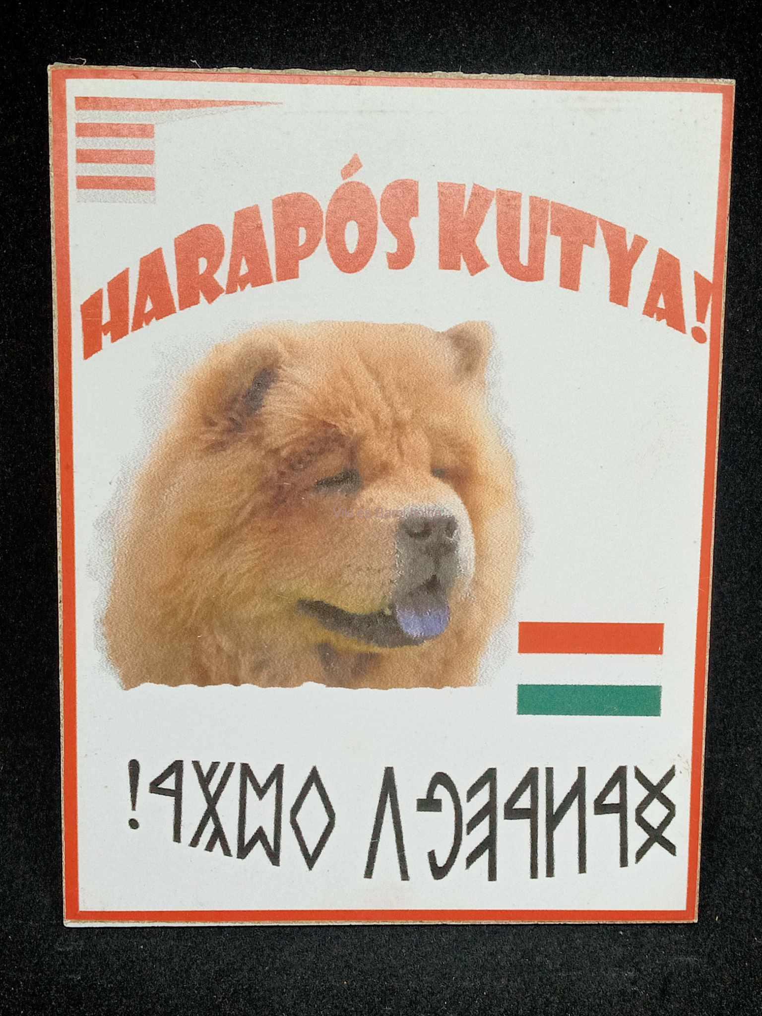 Kutyatábla